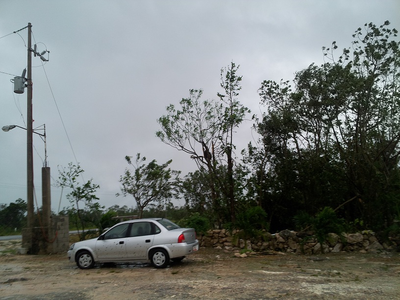 iCyclone - Ernesto Tree Damage